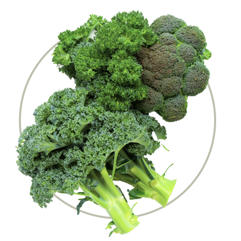 ingredient